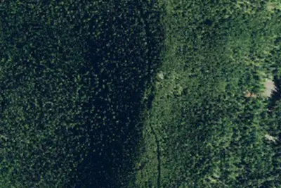 Pnt03 Tr92 Site D