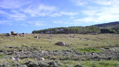 Shell Creek Campground