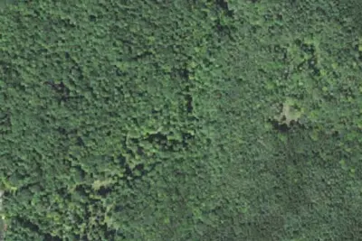 U.S. Forest Service Site 4C