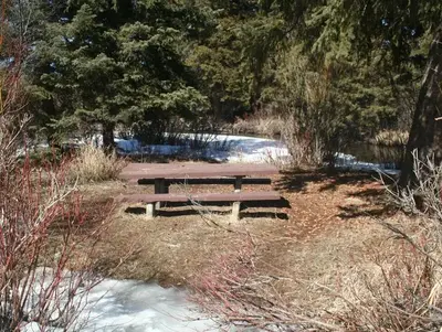 West Fork CG site 1