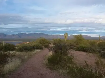 GRAPEVINE GROUP CAMPGROUND Sky and vegetation view.