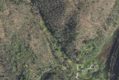 Cane Patch