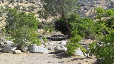 Camp Three Campground