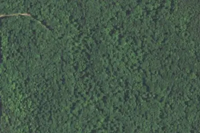 Camp site