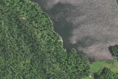 Franklin Lake Site 1