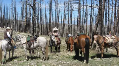 Jim's Gulch route to DEER CREEK CABIN (MT)