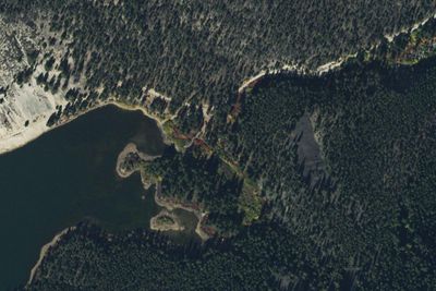 Brownes Lake Dispersed Site