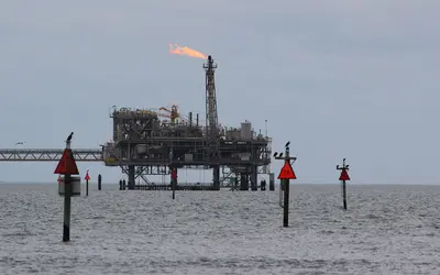 2016-12-31 — Oil-drilling platform and Double-crested Cormorants