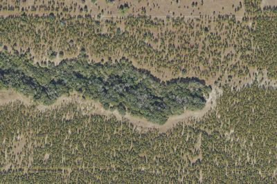 Steephead Camp