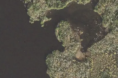 Birch Lake Site 1