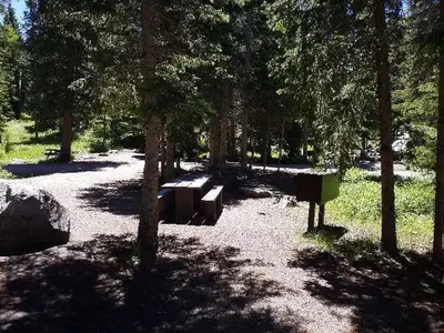 Camp site