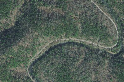 Citico Site 5