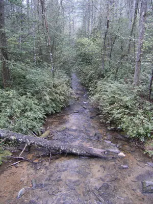 Small Creek - panoramio (1)