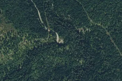 Bear camp