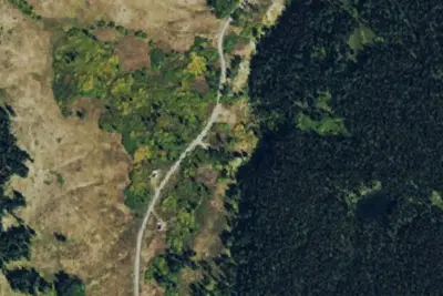 Camp site