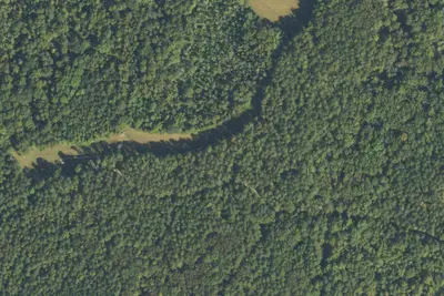 Camp site