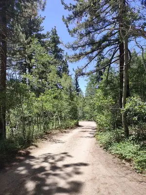 Leavitt Meadows