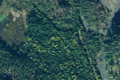 Road 2394e Site 1