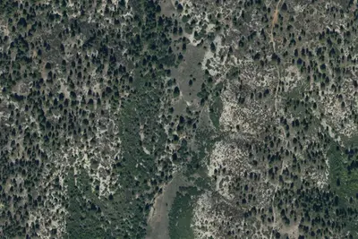 Campsite 9