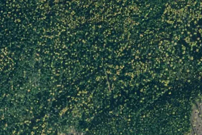 Tr358 Site 1