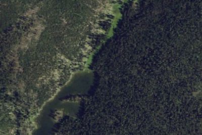 Wapiti Lake