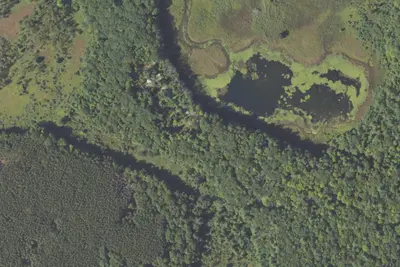 Blacksmith Bayou Access