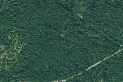 Cedar Springs