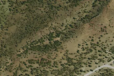 Camp site