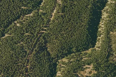 Camp site