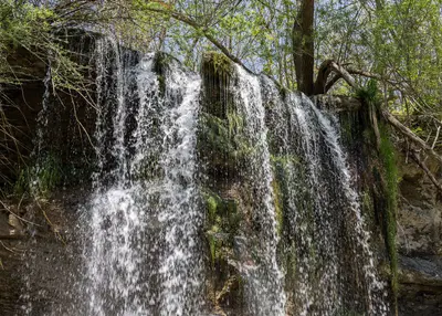 Rock Glen Conservation Area, Arkona, Ontario, 2026-05-17 06
