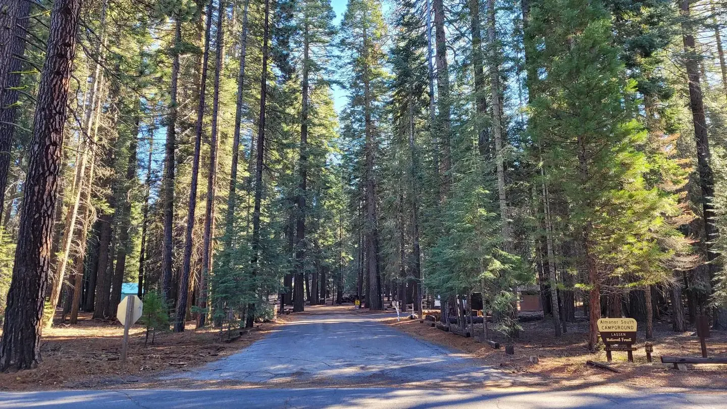 Almanor South
