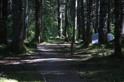 A serene location