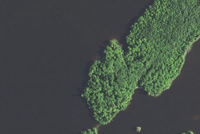 Camp site (Wisconsin Department of Natural Resources)