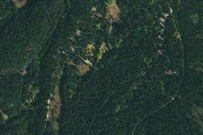 Camp site