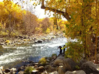 Caught a Fish - panoramio