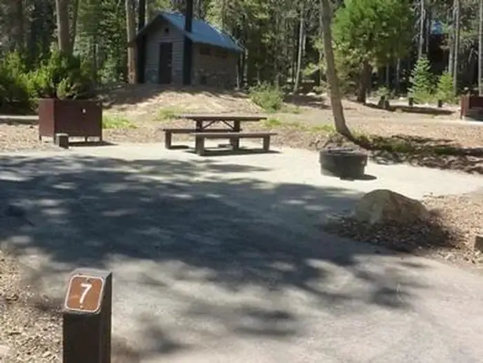 COLLEGE site 7