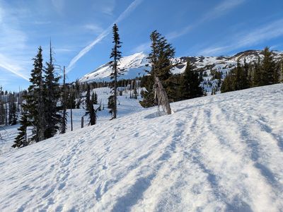 Mount Adams Morrison Creek ski tour (5 May 2025) (93224)