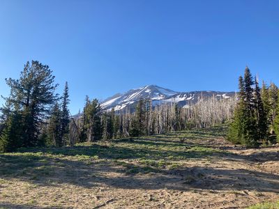 Mount Adams surrounded by forest 02