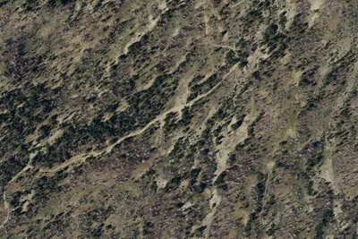 Timberline Camp