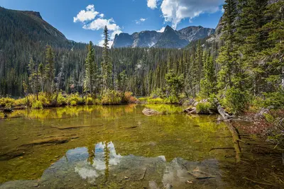 Fern lake (37387799900)