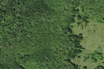Camp site