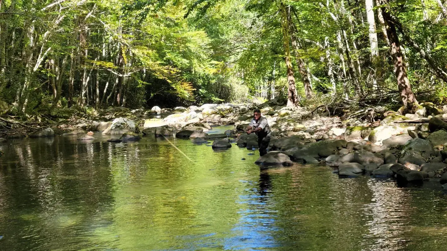 An angler in the Smokies