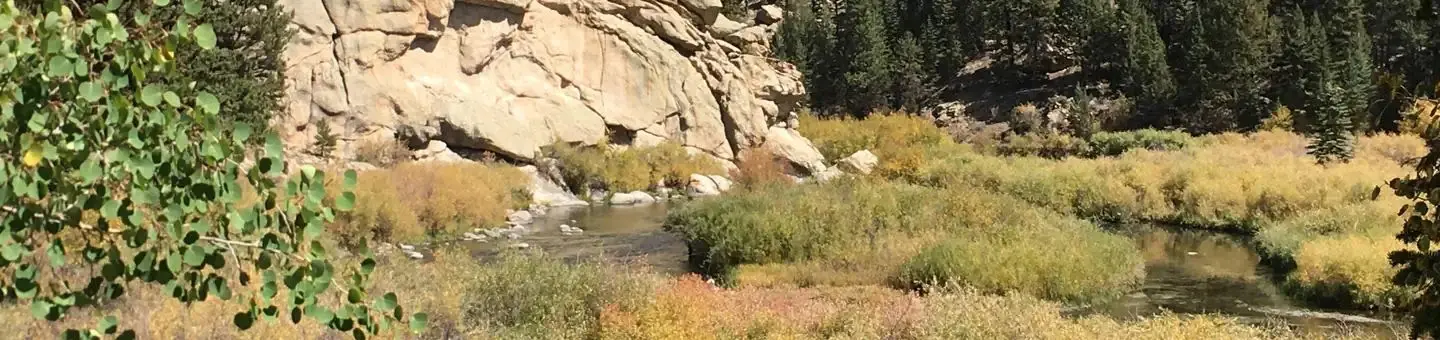 Cove Campground at 11 Mile Canyon
