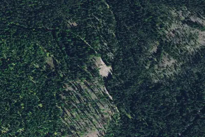 Flat Creek