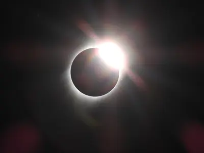 Diamond Ring (36592432772)
