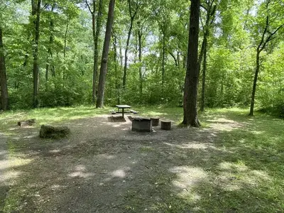 A open campsite with fire grill, picnic table, and rock barriers in the foreground and green vegatation background.
