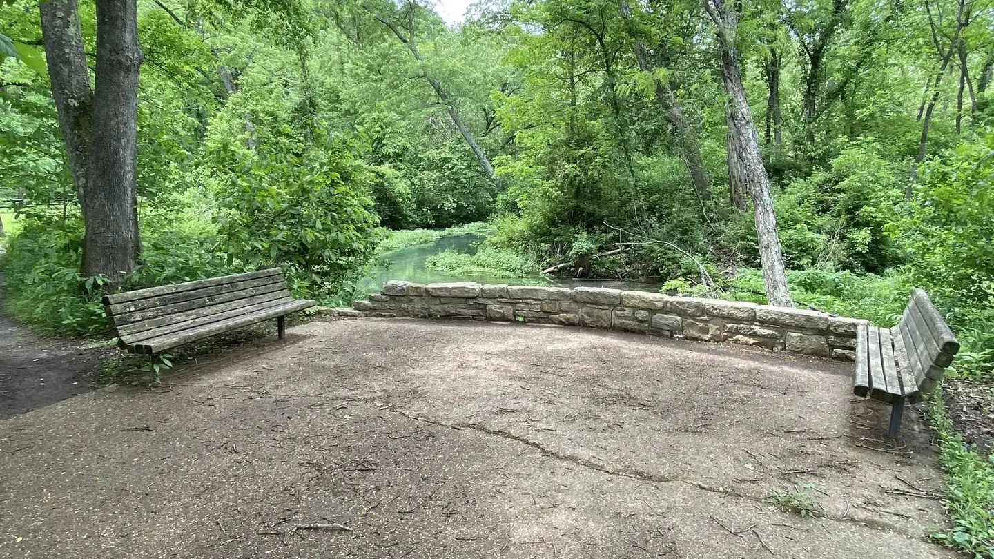 Benches at the edge of a concrete pathway with a view of Lane Spring and green vegatation in the background
