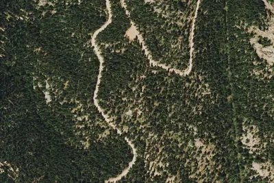 Campsite #62, Forest Road 300