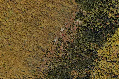 Camp site