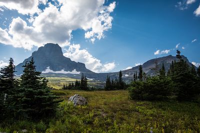 Logan Pass - Glacier National Park (29052037503)